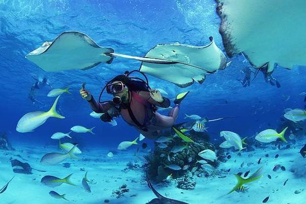 buceo cuba