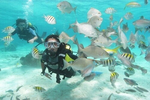 plongée sous-marine à cuba