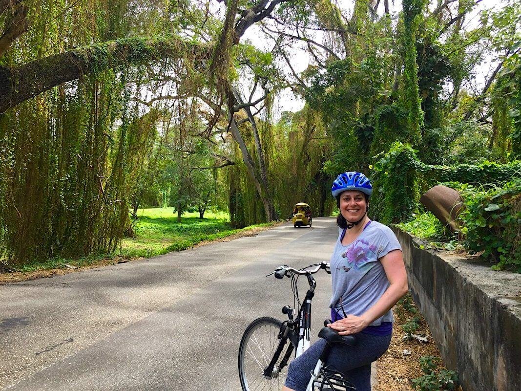 forêt de havane cuba