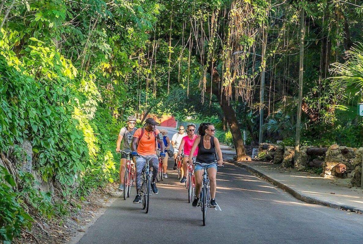 havana forest cuba