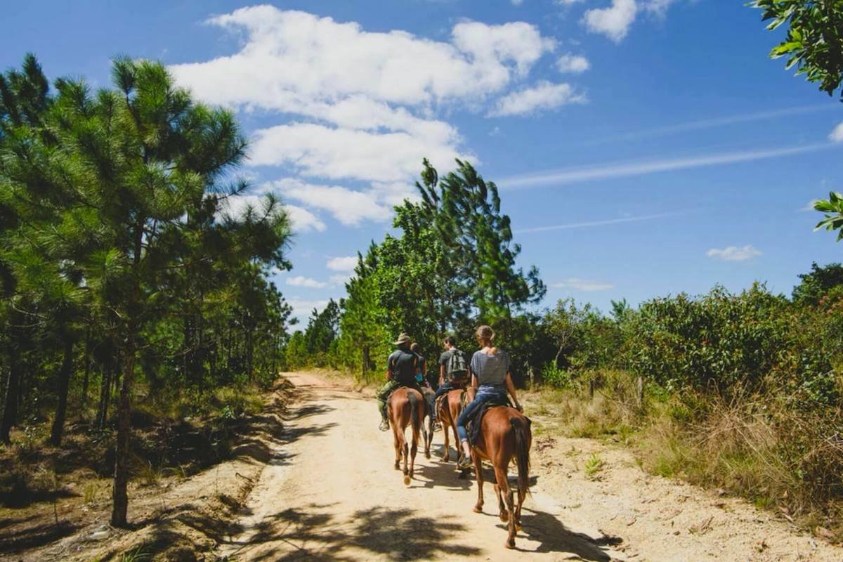 Tour de Viñales desde La Habana